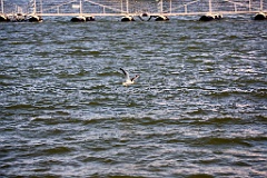 4L4C2976