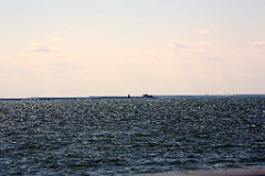 4L4C2986