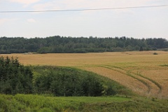 4L4C3005