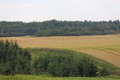 4L4C3006