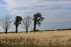 4L4C3008
