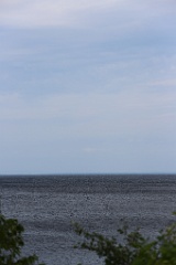 4L4C3011