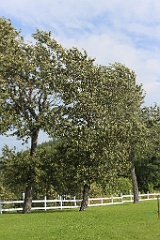 4L4C3019