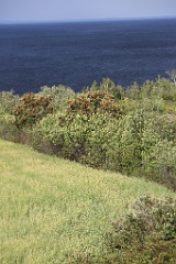 4L4C3028