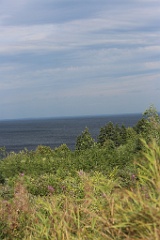 4L4C3031