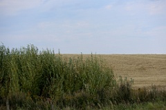 4L4C3035