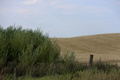 4L4C3038