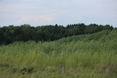 4L4C3043
