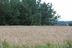 4L4C3047