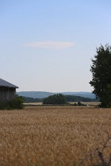 4L4C3049