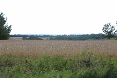 4L4C3052