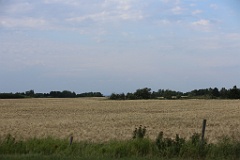 4L4C3053