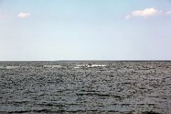 IMG_2371