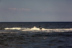 IMG_2377