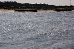 IMG_2424