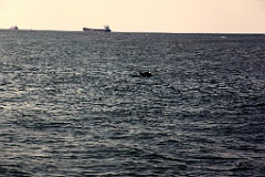 IMG_2428