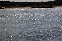 IMG_2434