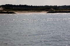 IMG_2438