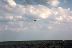 IMG_2478