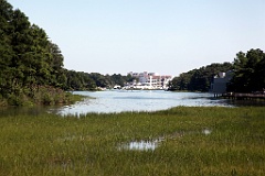IMG_2620