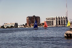 IMG_2642