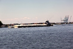 IMG_2647