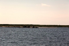 IMG_2659