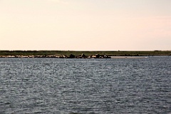 IMG_2661
