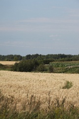 IMG_2692