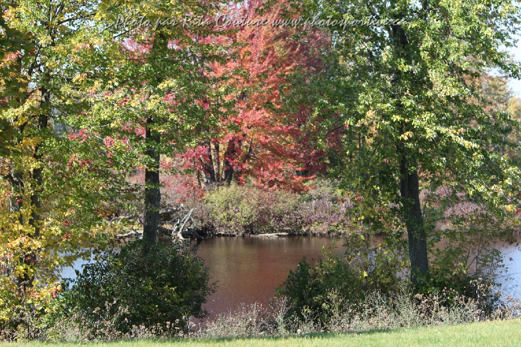 C5D_104802.JPG