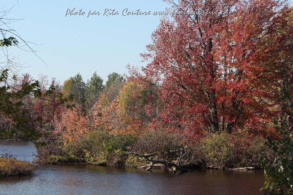 C5D_104805.JPG
