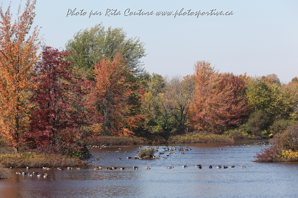 C5D_104808.JPG