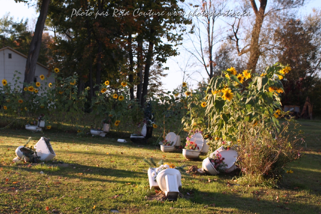 C5D_106284.JPG