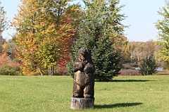 C5D_104799
