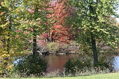 C5D_104802