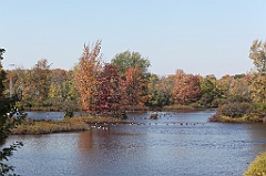 C5D_104803