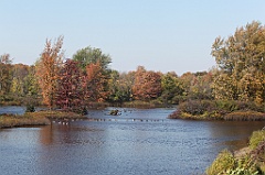 C5D_104804