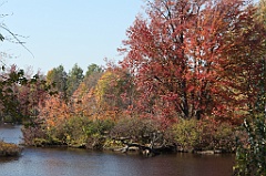 C5D_104806