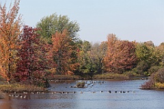 C5D_104808