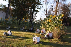 C5D_106284