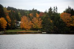 4L4C3980