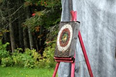IMG_1501