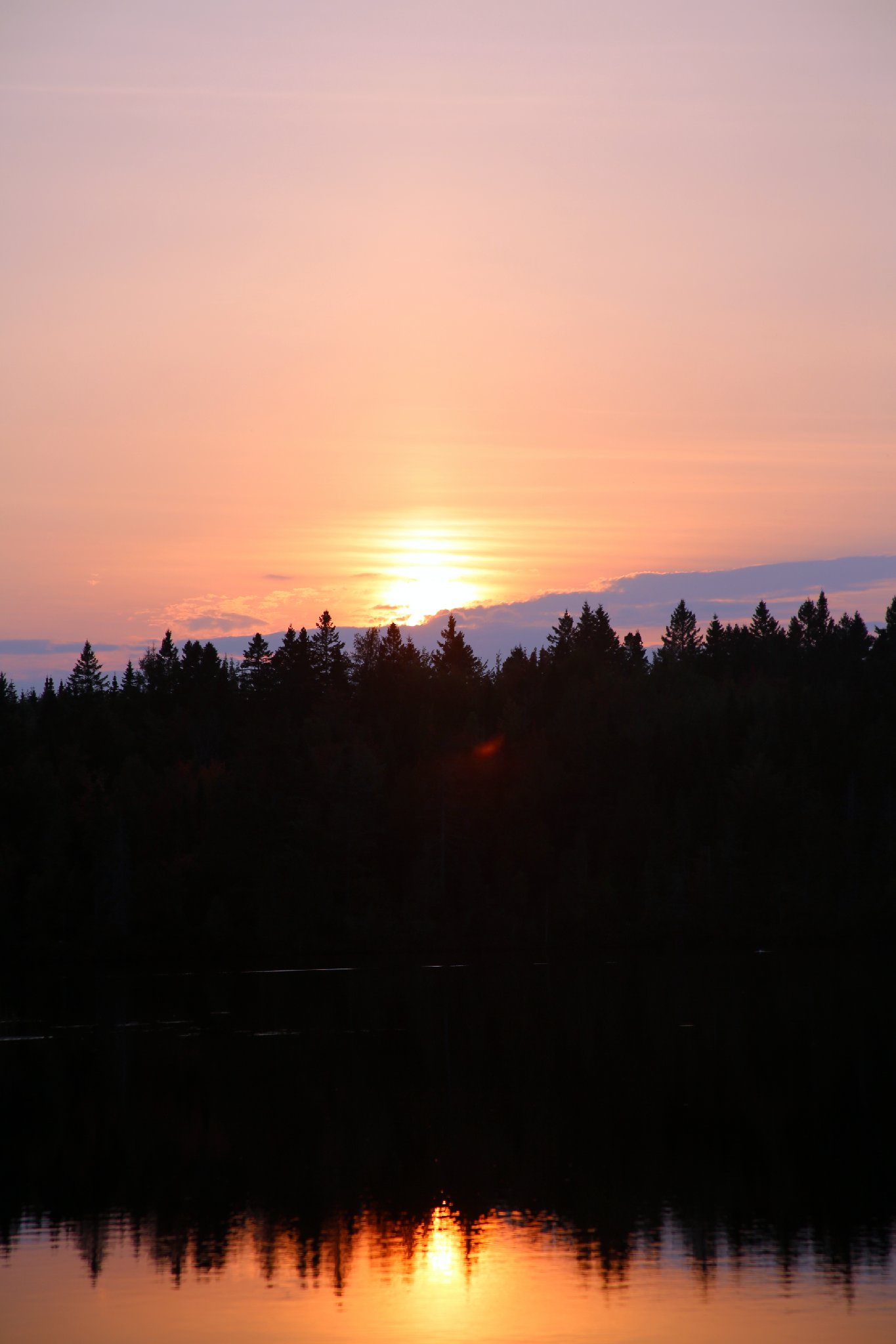 4L4C0381.JPG