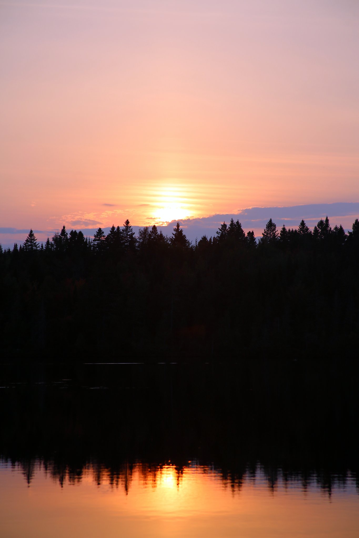 4L4C0382.JPG