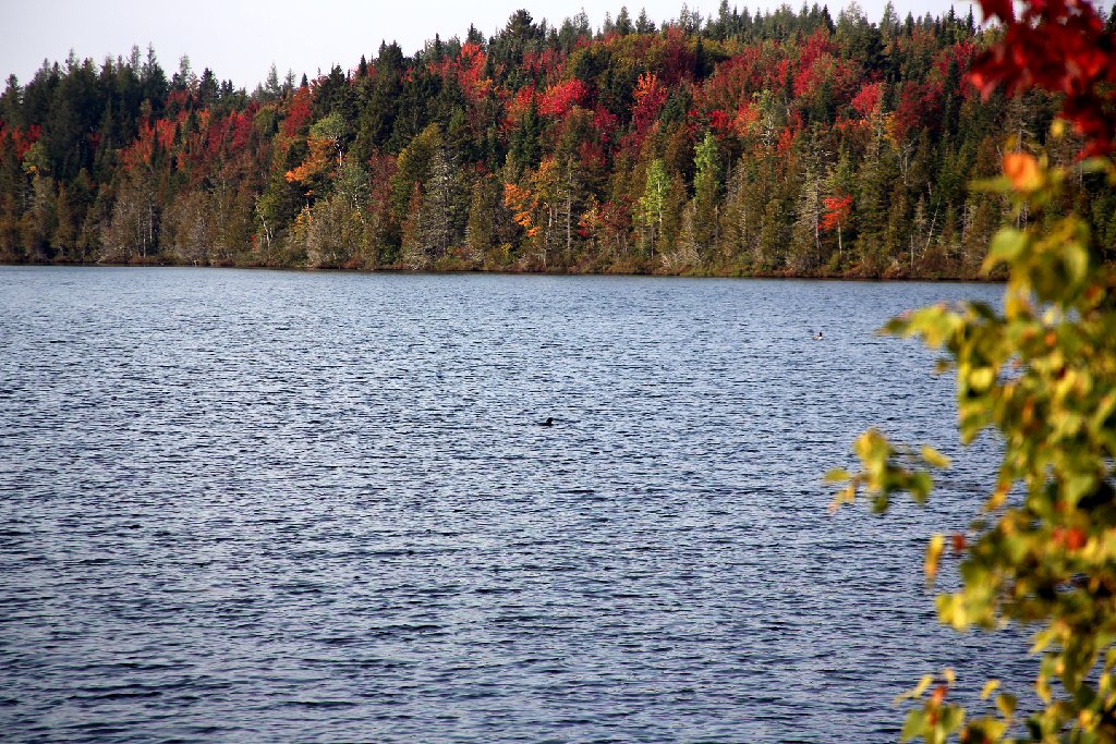 4L4C0086.JPG