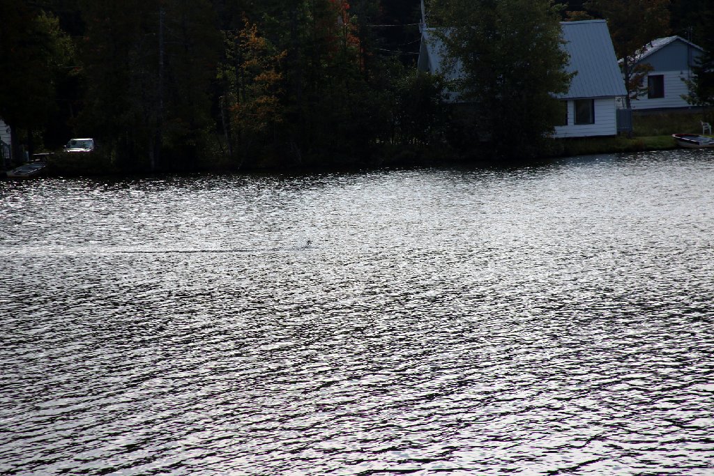 4L4C0094.JPG