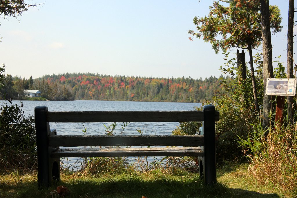 4L4C0144.JPG