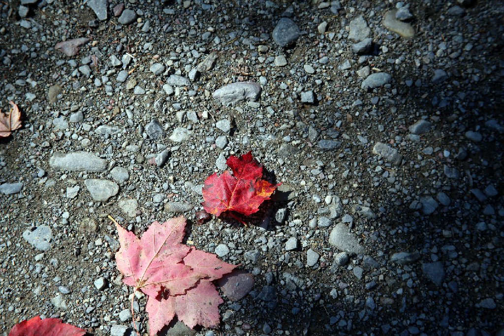 4L4C0145.JPG