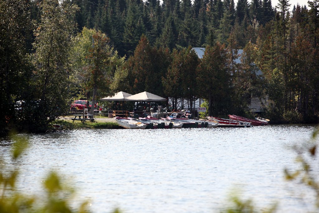 IMG_7336.JPG
