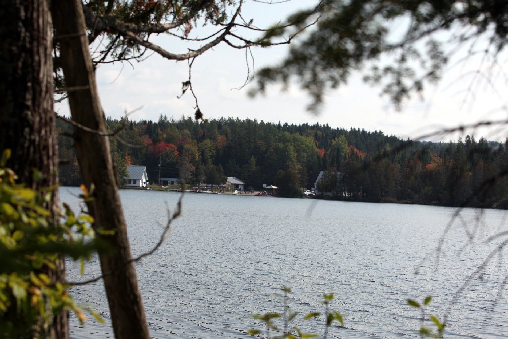 IMG_7347.JPG